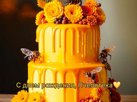 Два года Музею мёда «Пчелотека»