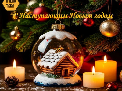 Вот и зажигаются огни на ёлке